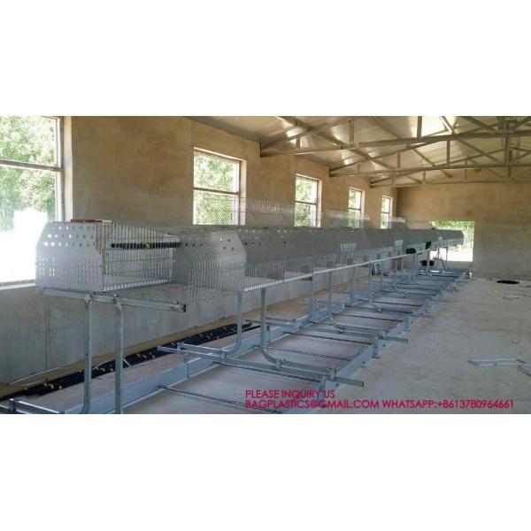 Rabbit Cage, Cage Net Galvanized Wire Poultry Farming Meat Broiler Battery Rearing Cage