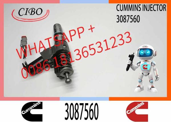 3087733 Injetor de combustível a diesel N14 Injetor de trens comuns 3087560 3411752 3411765