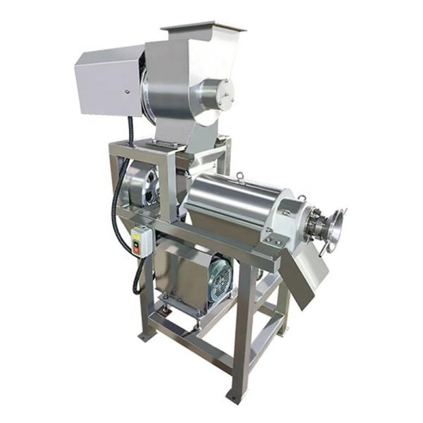 industrial cold press screw coconut milk extractor fruit juice juicer extractor machine Industrial Juicer
