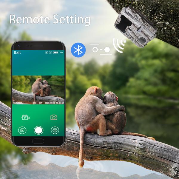 Programmable камера спрятанная WIFI живой природы 24MP с дисплеем LCD