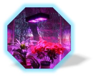 Beam Angle 90° 120° Indoor LED Grow Light Aluminum Alloy Lamp Body Material