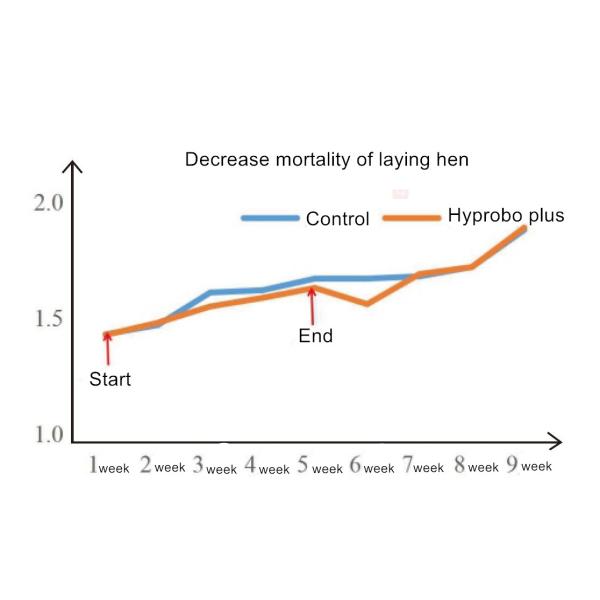 ISO 14.1 Billion Cfu/G Probiotics For Animal Zeolite Powder Carrier
