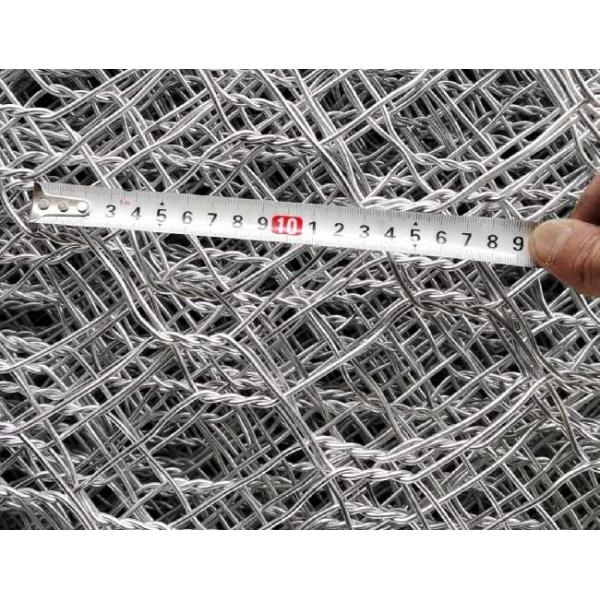 Эн 10223 8*10 сплетенное 2кс1кс0.5м корзин Габион защищает от наводнений покрытое Гальфан