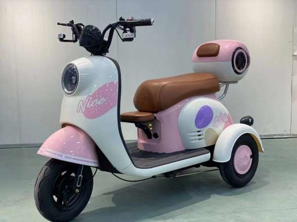 Fat Tyre Electric Scooter Tricycle 14 Inch 48v 500w 20Ah Electric Chariot Scooter