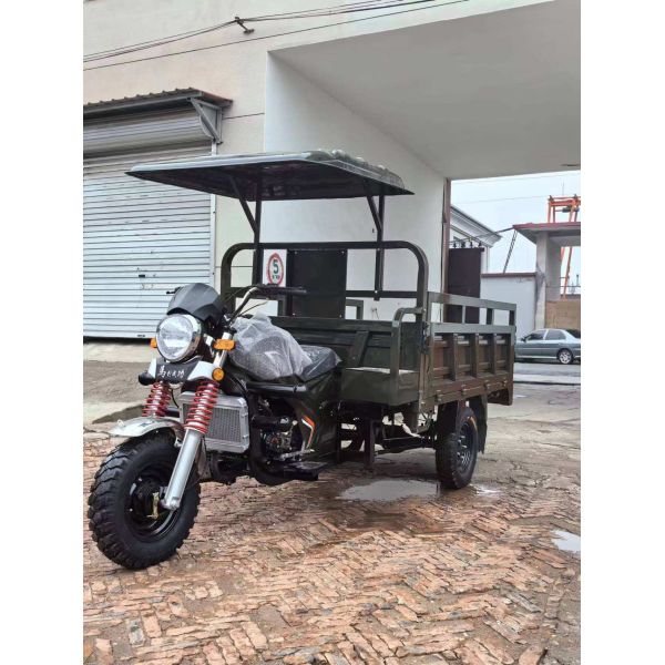 Hot Selling Adult Cargo Tricycle 200cc Petrol Tipper Motorized with Open Cabin