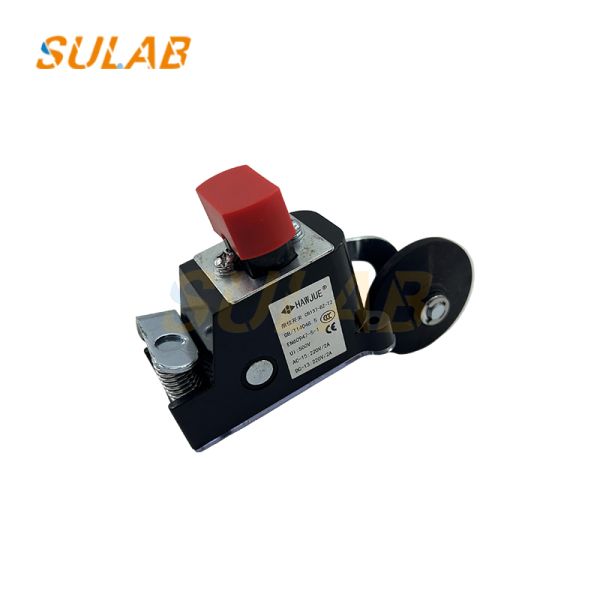 CR137-BZ-T2 Heavy-Duty Limit Switch with IP67 Rating, 2×SPDT Snap-Action Contacts and Steel Roller Lever