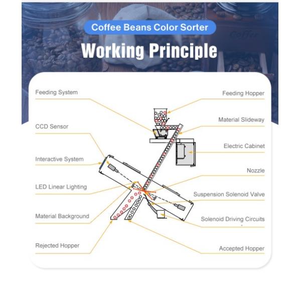 Наиболее популярный мини-сортировщик красок кофе