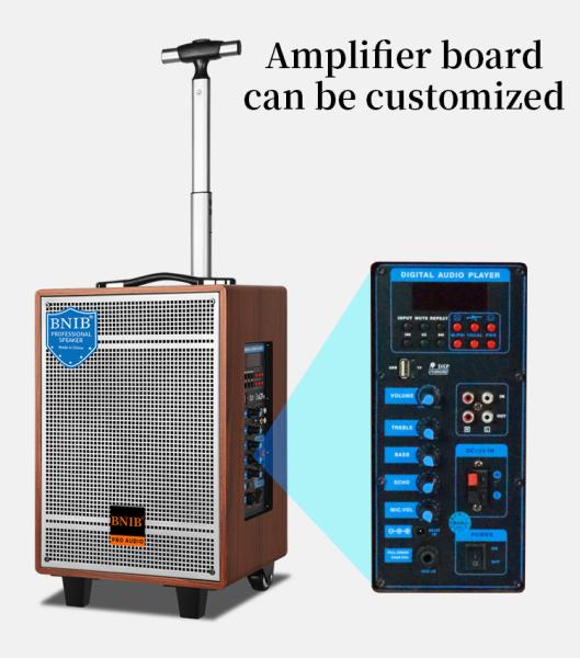 9KG Bluetooth 5.0 Portable Trolley Speaker 10 Inch Karaoke Speaker With Microphones