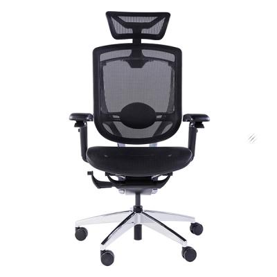 Marrit Swivel Ergo Office Chair 5D Paddle Shift Umbar Support High Back