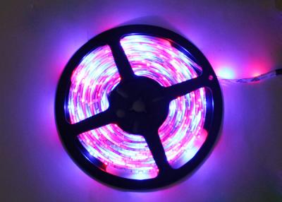 Cor de luzes flexível da tira do diodo emissor de luz de 12V 5m RGB que muda para a casa