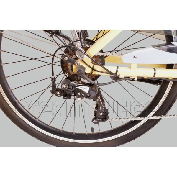 36V 250W Urban Commuting E Bike 26 Inch Aluminum Frame