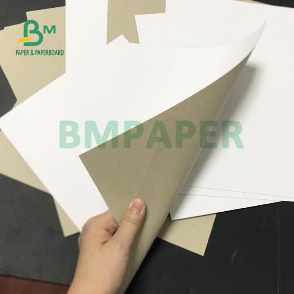 230gsm 250gsm Recycled Pulp C1S Grey Back For Medicine Packing Recycled Pulp C1S Box Board Grey Back Paper 230gsm 250gsm For Medicine Packing
