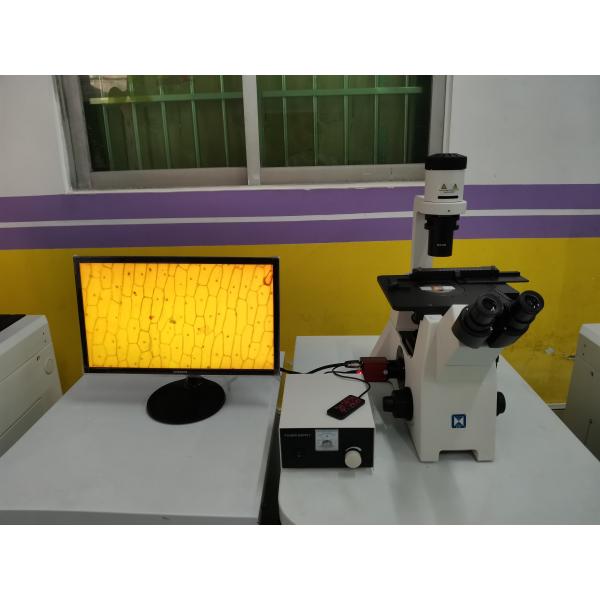 LIB-305 перевернуло микроскоп Trinocular биологический с бесконечной оптической системой