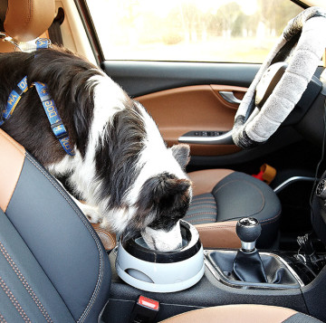 Dog Bowl Dog Water Bowl No-Spill Pet Water Bowl Slow Water Feeder