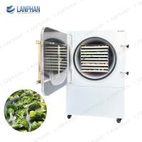 18 Trays Pharmaceutical Food Freeze Drying Machine Vacuum Freeze Dryer Machine For Vegetable