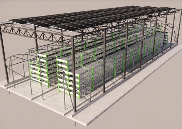 Eco Friendly Outdoor Mushroom Greenhouse With Integrated Photovoltaic Roof System
