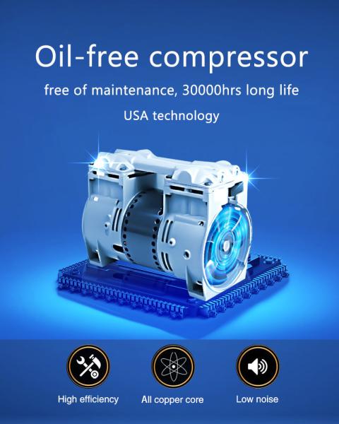 Domestic or medical use 5L lung diseases care oxygen concentrator with certification