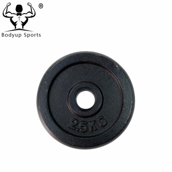 Black Paint Cast Iron Fitness Weight Plates Precise Weight For Weight Lifting