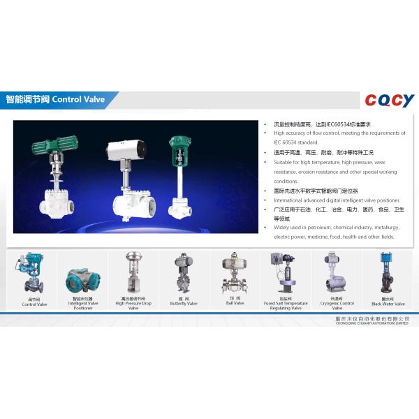 Chongqing Chuanyi Automation Limited