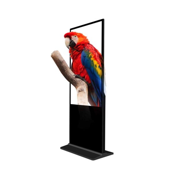 55 Inch Floor Standing Digital Signage with Android OS WiFi LCD Advertising Kiosk Vertical Video Display