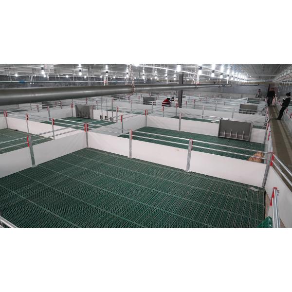 SS304 Fattening Pig Livestock Feeding Equipment 10 Holes Hog Feed Trough