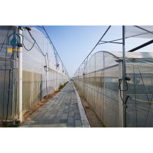 Complete Hydroponic Multi Span Greenhouse with Nutrient Delivery and Recirculation System...