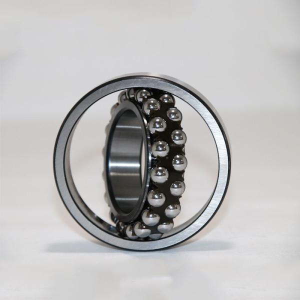 Precision Self Aligning Tapered Roller Bearing 1202 High Quality 15x35x11