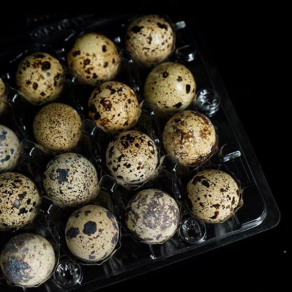 20 Hole Disposable Plastic Egg Packaging PET Transparent Egg Tray Portable