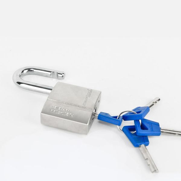 Rarlux Fine Workmanship Brass Lock Arc groove Electroplating Blade PADLOCK Industrial Safety Lockout Key Operated Durable High