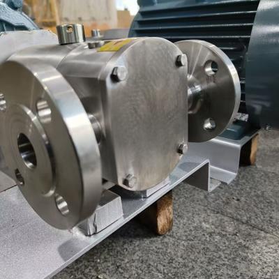 50HZ SS304 Sanitary Transfer Lobe Pump Anti Corrosion 1.6 Mpa