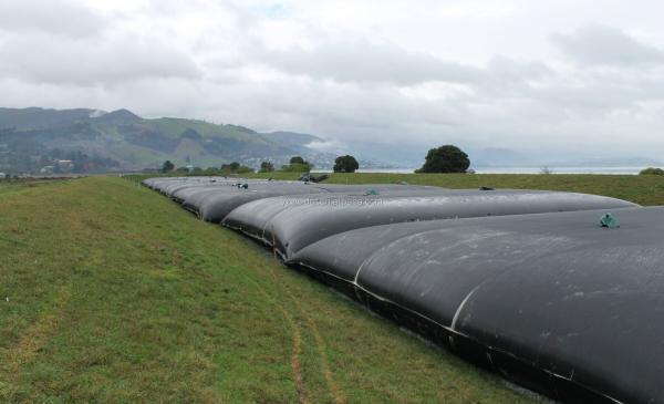 Tubes de asséchage tissés de géotextile pour la protection côtière