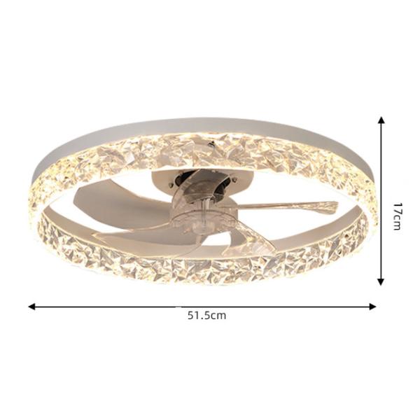 Factory Modern Home Intelligent Remote Control Ceiling Fan with Lamp Dimming Fan Lights for Home Living Room Bedroom LED Fan Light