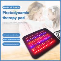 12V protection infrarouge multicolore de thérapie du soulagement de la douleur LED