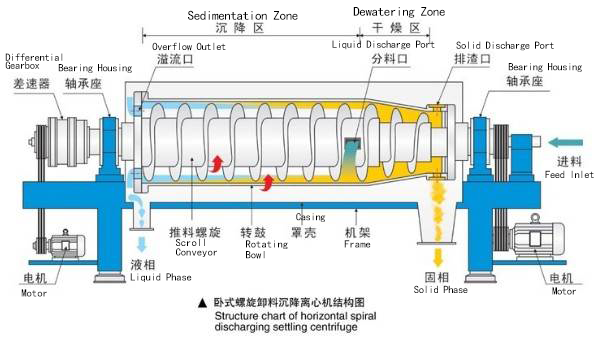 Decanter Centrifuge: How to Reduce Sludge Dewatering Costs by 30%?