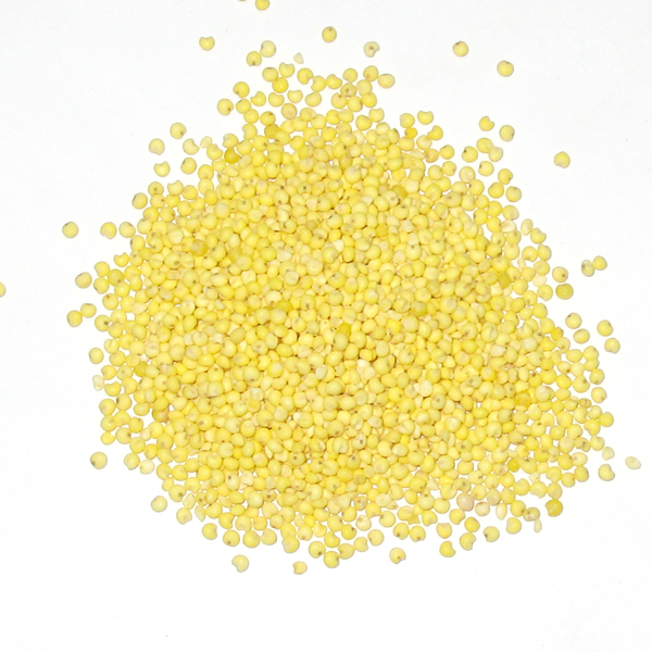 Trieuse électronique de couleurs Wenyao AI, Trieuse de graines, Trieuse de riz, Trieuse de paddy