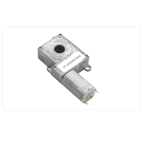 77Rpm Brush Permanent Magnet DC Electric Motor 8V High Torque