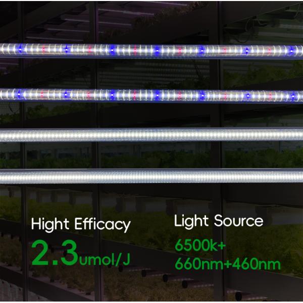 Super Bright 3 Foot Grow Light 90cm 4ft 120cm Japanese LED Light Tube 24W 36W T8