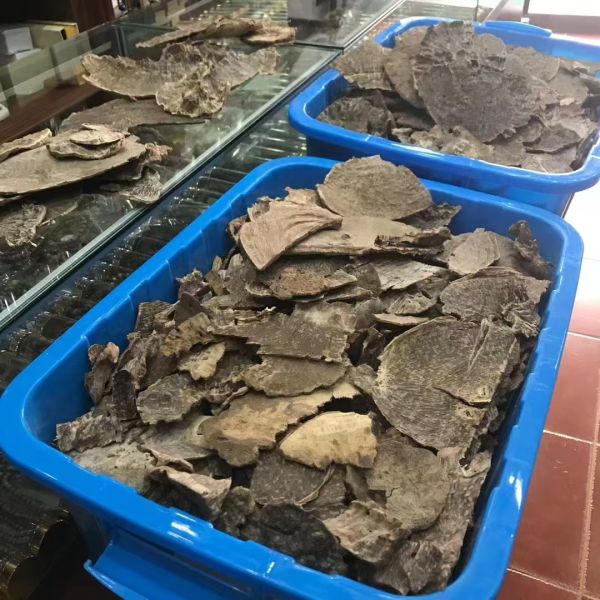 Natural OUD Agarwood raw material ideal for essential oils incense and high end perfume manufacturing industries globally
