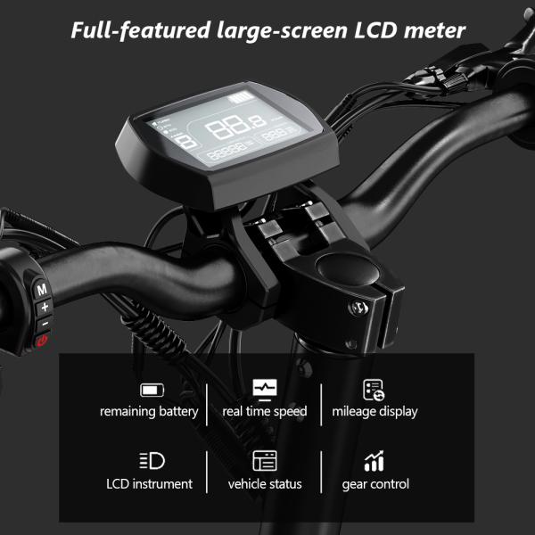 G2 PRO Adult Scooters 800W Foldable Design and Standard Voltage AC110-240V/50-60 HZ