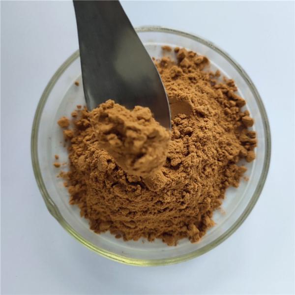 Hovenia Dulcis Thunb Extract/Turnjujube Extract
