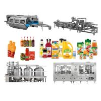 NFC ligne de production de transformation de jus de tomate ensemble complet de nettoyage épluchage et machine de jus SUS304