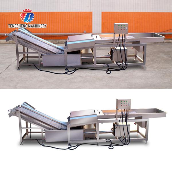 Mushroom slicer Wash Washer Washing Shiitake mushrooms Cleaning Dryer Cutting processing production Machine