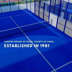 Shenzhen LDK Industrial Co., Ltd.