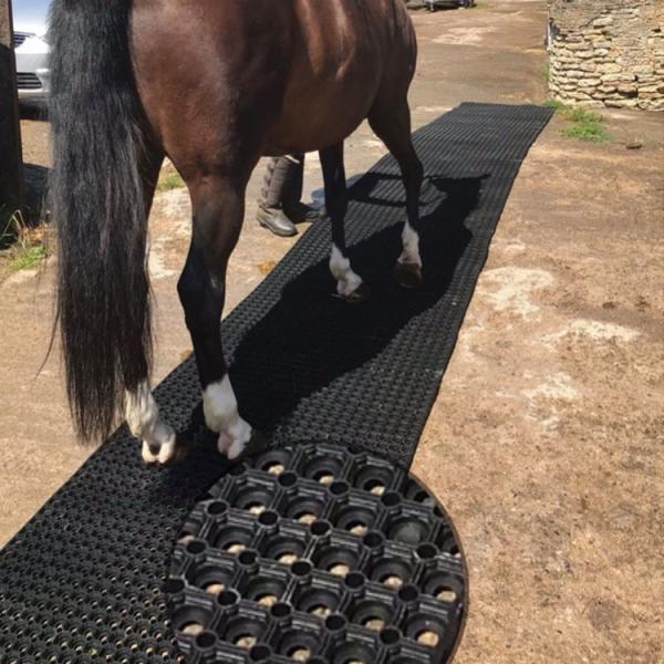Anti Fatigue Drainage Mat Anti Slip Rubber Mats Rubber Hollow Mats 3' X 3' Inch Black Color For Horse Grooming Area