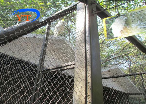 2.0mm Stainless Steel Rope Mesh Flexible Protection Safety Net Balustrade Cable Webnet