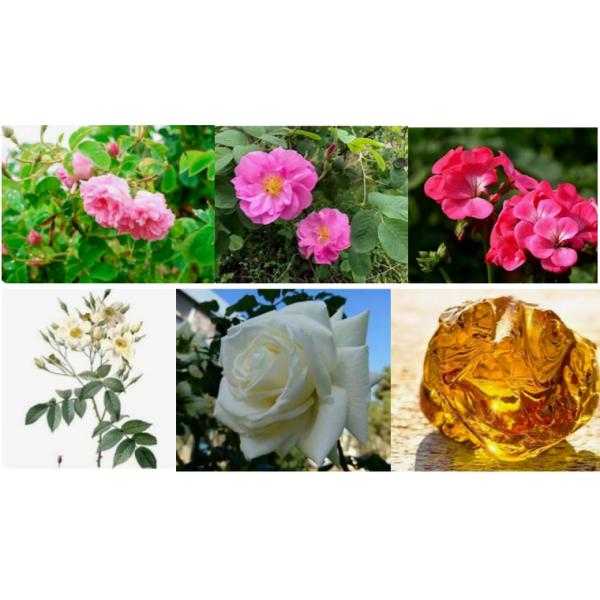 High Quality Scented Candle Rose Musk Essence / Rose Musk Fragrance Essence