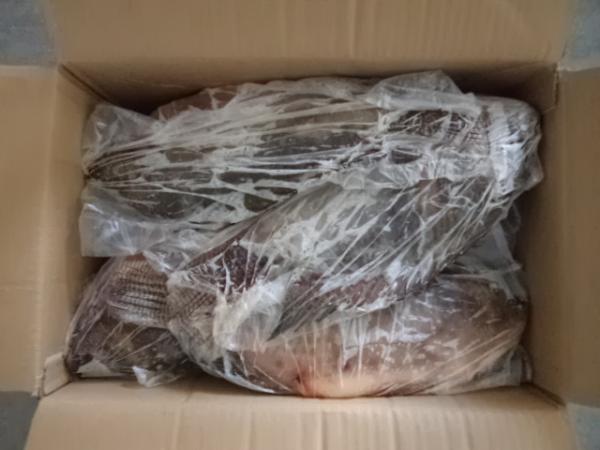 Frozen Tilapia Gutted& Scaled Size after glaze 400-600g