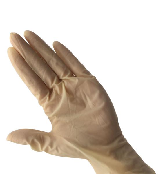 Economical Powder Free Disposable Latex Gloves Economical Powder Free Disposable Latex Gloves