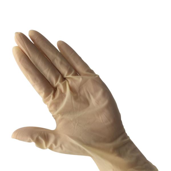 Economical Powder Free Disposable Latex Gloves Economical Powder Free Disposable Latex Gloves