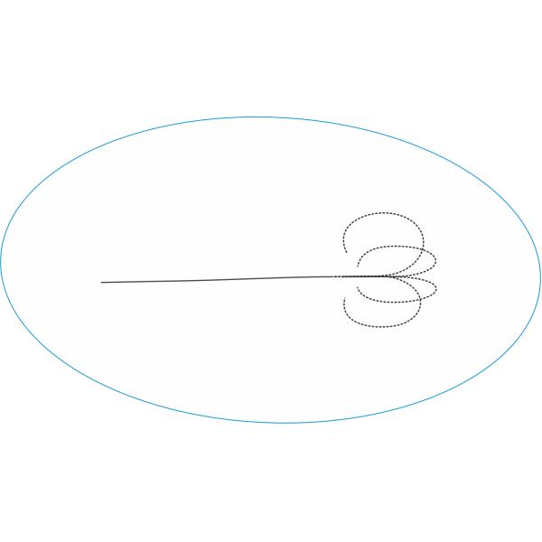 Медицинские устранимые цифров гибкое Ureteroscope с аттестацией CFDA